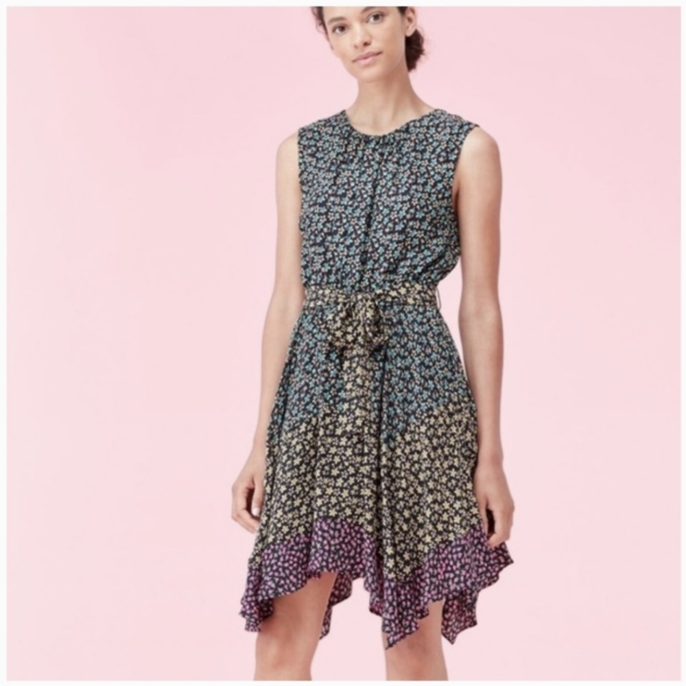 Rebecca Taylor | Louisa Sleeveless Floral Dress Large Silk Belted